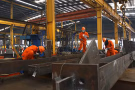 Vietnam promotes gender equality in domestic firms
