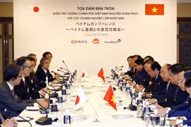 Vietnam welcomes high-quality projects from Japan: PM