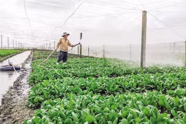 Seminar discusses ways to add value to farm produce