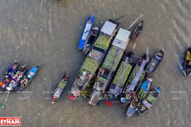 Cai Rang floating market in Mekong Delta hosts cultural festival