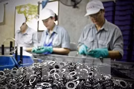 Vietnamese firms lack capacity to join global supply chains