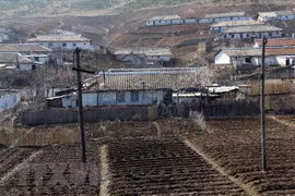Vietnam helps DPRK natural disaster victims with 5,000 tons of rice