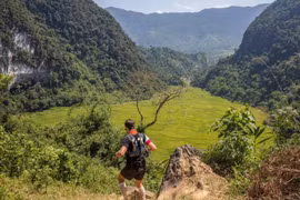 Nearly 1,000 people to run in Vietnam Jungle Marathon 2019