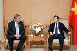 Deputy PM: Vietnam encourages renewable energy development 