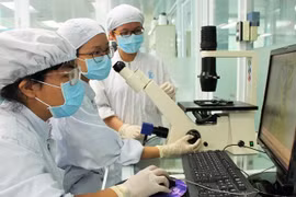 Eight Vietnamese institutions make top Asia universities list