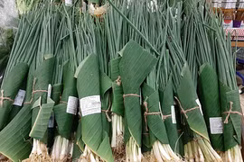 Singaporean media wowed by Vietnamese supermarkets’ green move