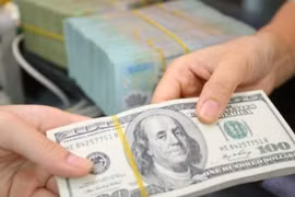 Reference exchange rate down at week’s beginning 