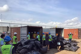 Over 5 tonnes of pangolin scales discovered in Ba Ria-Vung Tau