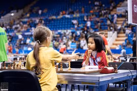 Vietnamese players win medals at world chess championship