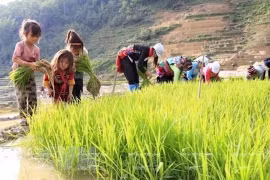 Policy dialogue discusses int’l standards on child labour