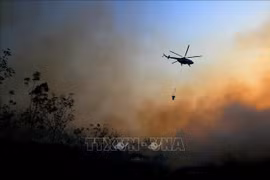 Indonesia: Four helicopters deployed to douse forest fires