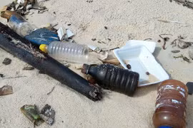 Seminar discusses contents of ocean plastic waste management