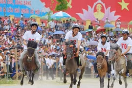 Bac Ha Plateau Festival to take place in early June