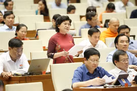 NA adopts resolution on law building programme in 2020