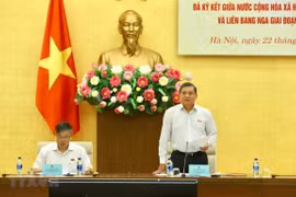 Seminar looks into progress of Vietnam-Russia int’l treaties 