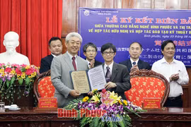 Japanese locality seeks partners in Binh Phuoc in wood making 