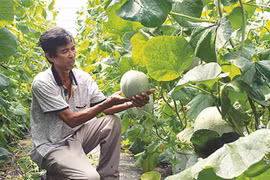 Farmers get smart to improve business