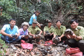 Over 80 wild animals reintroduced at national park