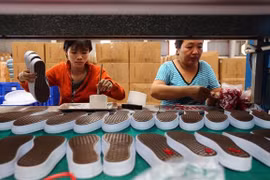 Most labour strikes occur at FDI enterprises: report