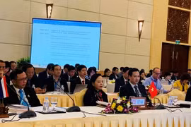 Vietnam attends 14th ASEAN Health Ministers’ Meeting 