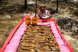 Quang Tri: Over 1,400 wartime UXOs handled