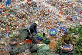 Indian firms look to partner with HCM City in environmental treatment