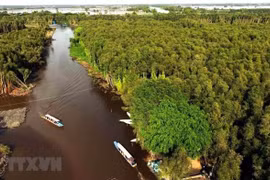 PM urges stepping up sustainable development in Mekong Delta 
