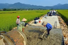 Thua Thien-Hue pushes ahead with new-style rural area building 
