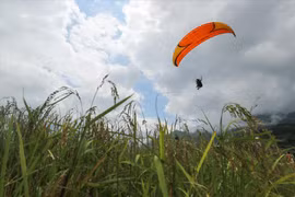 Paragliding festival returns Yen Bai province