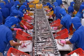 Vietnam, China have room to grow trade ties: experts