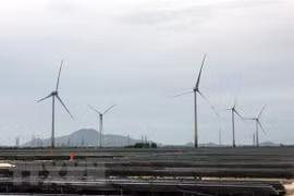 Bidding for electricity projects promotes transparency: experts