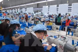 White Book on Vietnamese businesses 2019 to come late May: GSO