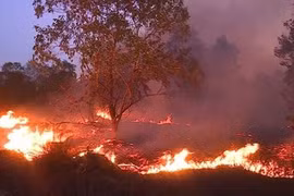 PM orders greater fire-prevention efforts