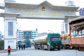Trade through Lao Cai international border gate goes down 