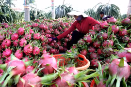 Vietnam, Italy promote economic cooperation