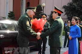 Vietnam, Russia strengthen defence cooperation