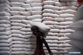 Myanmar to export 500 million USD worth of rice to China in 2019 