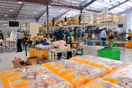 First Vietnamese factory inaugurated in Cuba