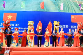 Vietnam, China open specialised route for goods transportation