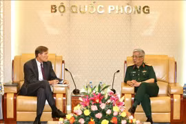 Vietnam, US step up cooperation in handling AO/ dioxin consequences 