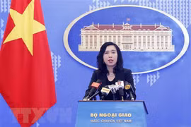 China asked to respect Vietnam’s sovereignty over Hoang Sa, Truong Sa archipelagos