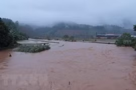 Localities asked to promptly overcome storm consequences