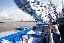 Agro-forestry-fishery exports decline slightly since 2018