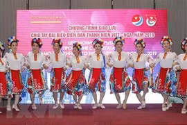 Vietnam-Russia Youth Forum wraps up in HCM City