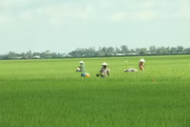 Mekong Delta may face more serious saline intrusion this dry season
