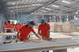 Vietnam’s wood exports soar to nearly 3.12 billion USD