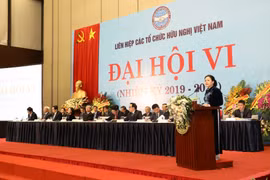 VUFO plays core role in people-to-people diplomacy: official 