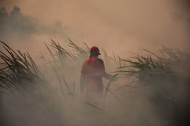 Indonesian President demands utmost efforts to stamp out forest fires