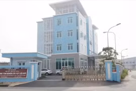 HCM City seeks new construction materials to replace sand
