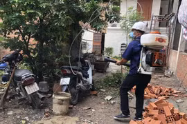 HCM City records nine deaths from dengue fever 